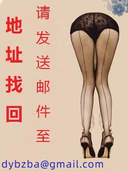 大夏芳华杂记